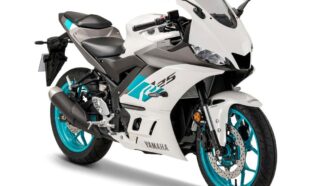 Yamaha R25